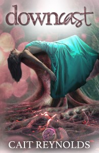 downcast cover large